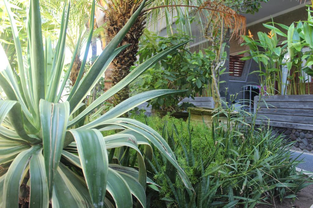 Letos Kubu Homestay Kuta  Ngoại thất bức ảnh